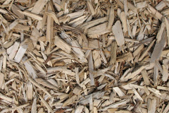 biomass boilers Portrush