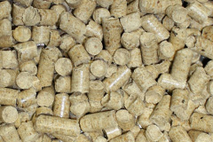 Portrush biomass boiler costs